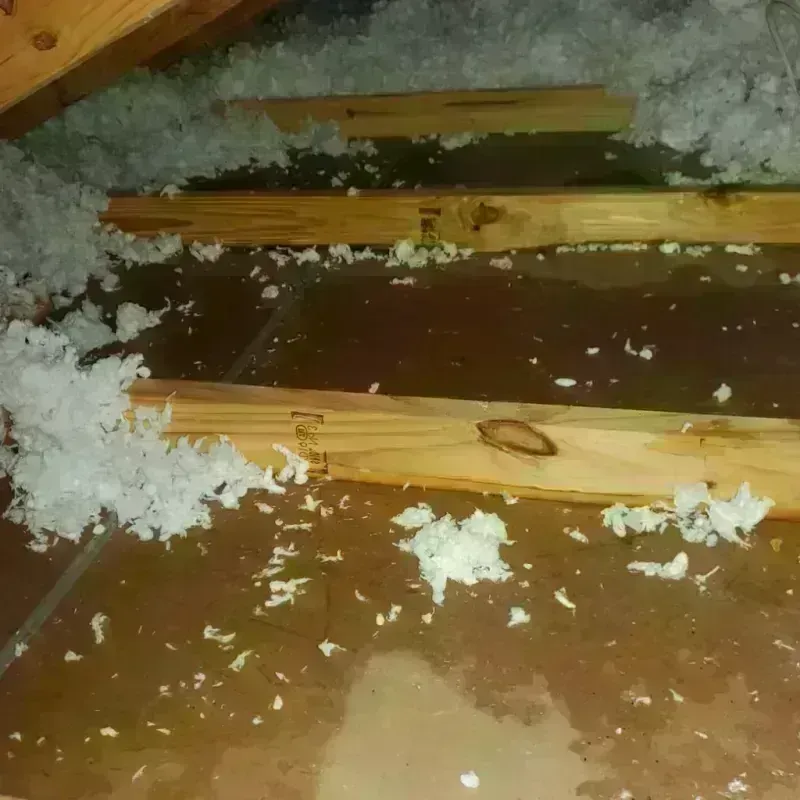 Attic Water Damage in Nodaway County, MO